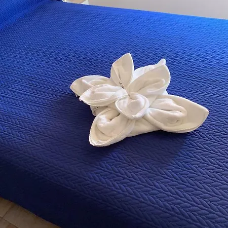 Seifia 2a Pozo Izquierdo