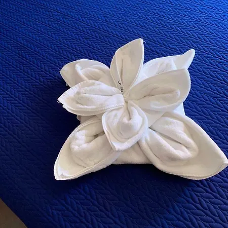 Seifia 2a Pozo Izquierdo